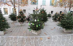 2025 12 09 OULLIOULES PROMENADE (36)